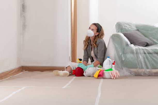 Reliable Mold Remediation contractor in Cassville, PA by WQB Mold Removal
